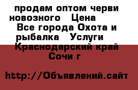 продам оптом черви новозного › Цена ­ 600 - Все города Охота и рыбалка » Услуги   . Краснодарский край,Сочи г.